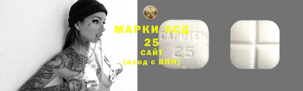 спиды Вязники