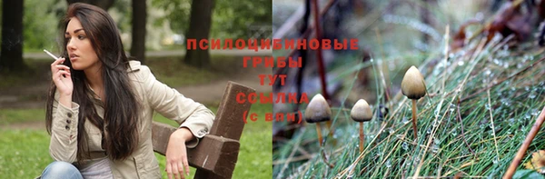 спиды Вязники