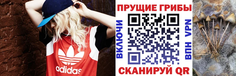 Псилоцибиновые грибы MAGIC MUSHROOMS  Купить  Печоры 